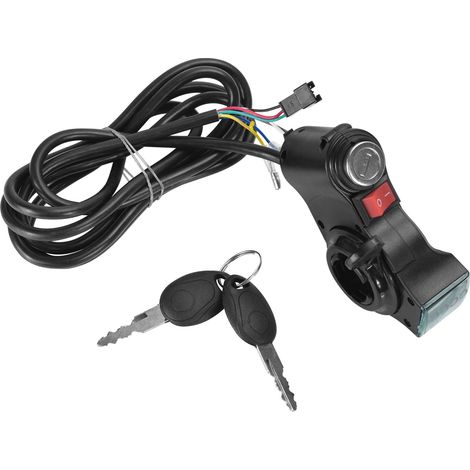 Elektrischer Doppelantriebsroller mit 24-V-, 36-V- und 48-V-Leistungsschalter und Geschwindigkeitsregelung per Fingerdruck (1/4)