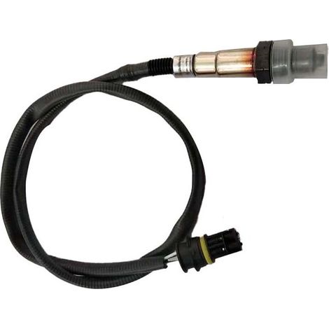 Capteurs d'oxygène compatibles avec les pièces automobiles de la série R : 0015400717 0258006318 (1/4)