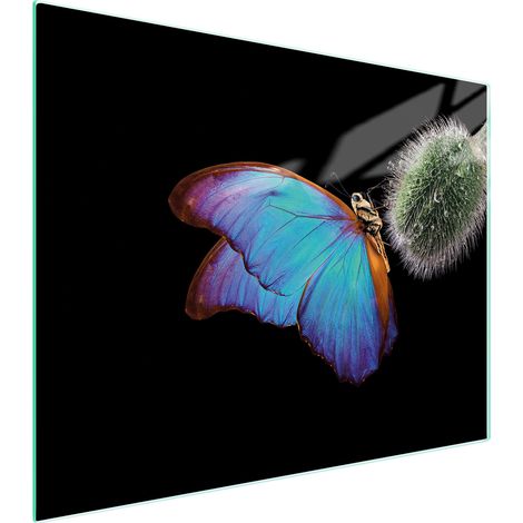 Glasschneidebrett 52x40 Schmetterling (1/5)