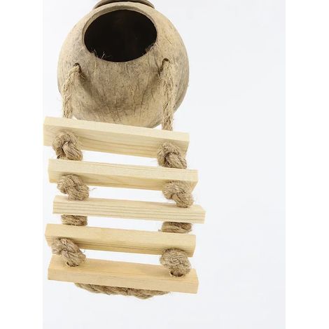 Nichoir en noix de coco avec échelle pour phalangers volants - nichoir en noix de coco avec jouet suspendu pour perruches ondulées, calopsittes, conures et canaris