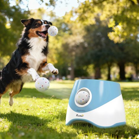 Lanceur Automatique de Balles pour Chiens Petits et Moyens Bleu (1/5)