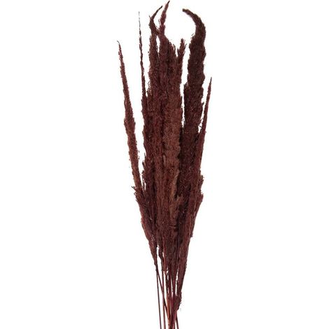 Bouquet de Fleurs Séchées 100 cm pour Décoration Intérieure Couleur Brun Marron - PANGIVO (1/4)