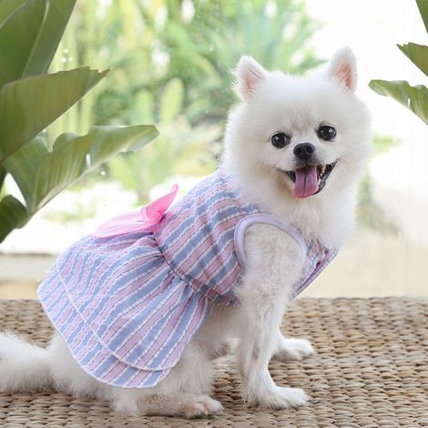 1 robe d'été à carreaux pour animaux de compagnie - Jupe à nœud papillon pour chien / Jupe princesse pour chat - Bichon Teddy - Vêtements pour petits chiens (1/2)