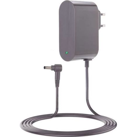 30,45V Chargeur pour Dyson Cyclone V10 V11 V12 V15 - (Compatible avec SV12 SV14 SV22 SV20 Detect Animal Absolute Avec indicateur (1/4)