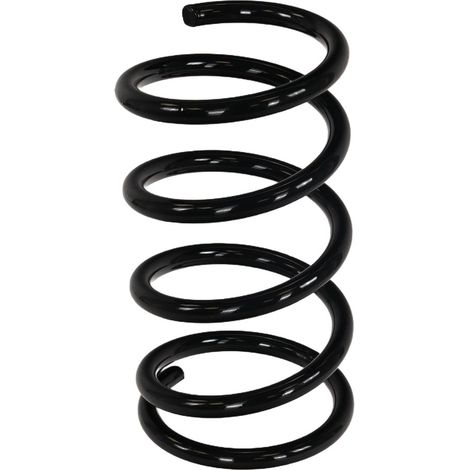 Suspension arrière à ressort rapide FT01988 (1/4)