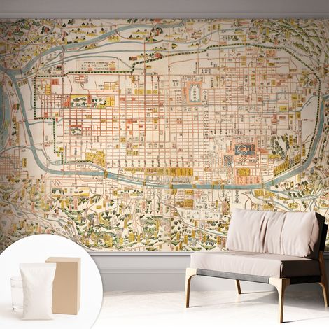 Papier peint décoratif avec colle pour salon, chambre à coucher et bureau – Design moderne et facile à poser Carte ancienne 312x219 cm (1/5)