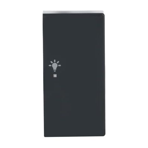 Busch-Jaeger Bascule double droite, avec symbole "Lumière" symbole "Lumière" double anthracite - Plattform 63 (6231-22-81), 2CKA006220A0062