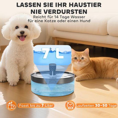 Fontaine à eau pour chat 7L avec pompe silencieuse, filtre à charbon actif LED, acier inoxydable 30,6 x 30,6 x 17,2 cm (1/4)