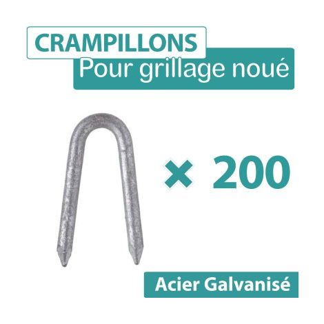 Cloture & Jardin – Crampillons en acier galvanisé 200 pièces – Longueur 35mm – Diamètre 3,5mm – Fixation pour grillage et palissage horticole