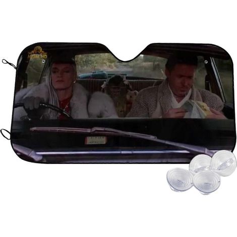 Pare-soleil de voiture inspiré de Retour vers le futur, Marty McFly et Emmett Brown, pare-soleil de pare-brise, accessoires auto, pare-soleil personnalisé inspiré du film, protection solaire 13 (1/5)