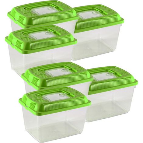 Conteneur pour petits animaux - JUANIO - Lot 6 - Rectangulaire 18x12x13.4 cm - Plastique transparent - Couvercle amovible (1/4)
