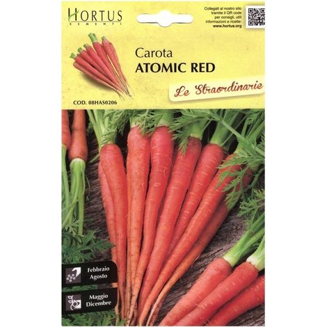 Carota Atomic Red - rote, süße und nahrhafte Karotte