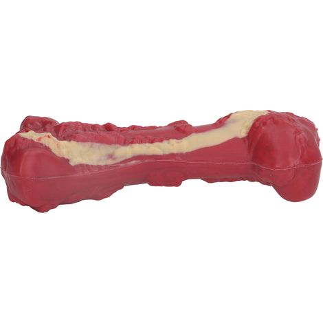 Jouet à mâcher pour chiot, os de dentition en caoutchouc avec couineur, confortable à mâcher pour les animaux qui aiment mâcher, 20 x 7 x 6 cm / 7,87 x 2,76 x 2,36 pouces (1/5)