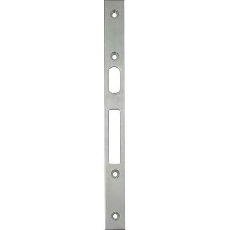 Flachschließbl.STA Verzinkt B.22xL.250mm SCHNEGEL (1/2)
