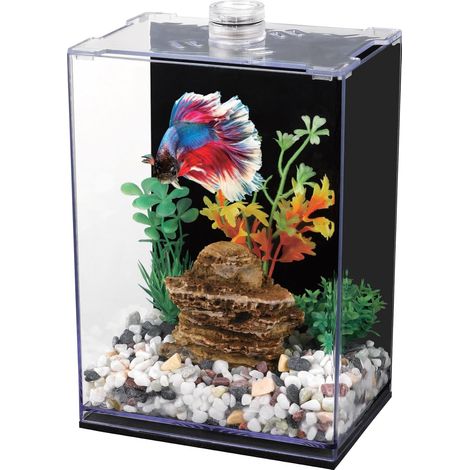 Vivarium pour poisson combattant avec éclairage LED, 15x10x20 cm, Aquarium en acrylique avec couvercle et fond noir (1/5)