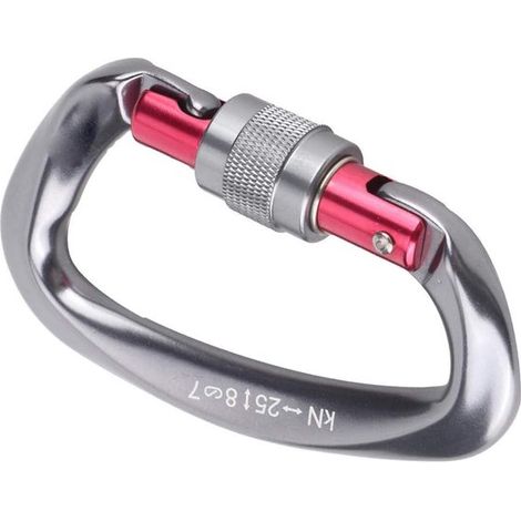 Kletterkarabiner aus Luftfahrtaluminium mit D-Ring, Schraubverschluss und Sicherheitskarabiner für Bergsteigen, Höhlenforschung und Höhenarbeiten (1/5)