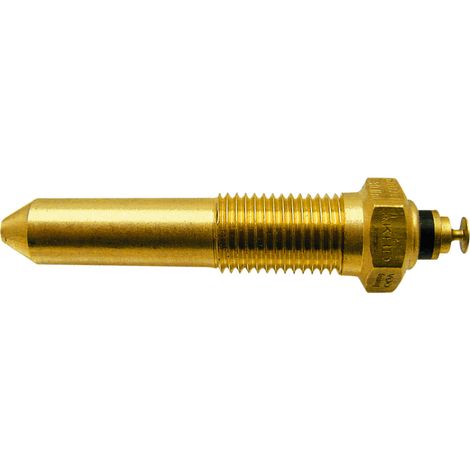 Capteur de température avec avertissement GRANIT 01177090