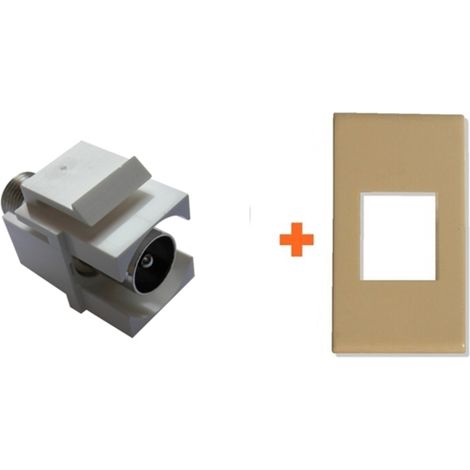 Keystone presa TV diretta IEC maschio compatibile ave blanc