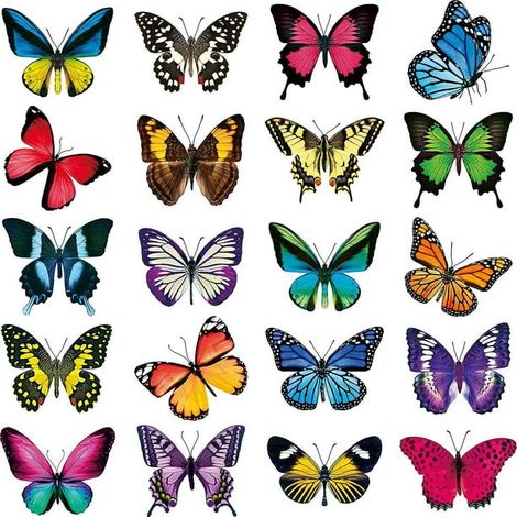 Décor adhésif papillon autocollant pour fenêtre, lot de 20, stickers muraux colorés, pochoir vitre, décalque papillon, art mural amovible, sans résidu, décoration intérieure. (1/5)