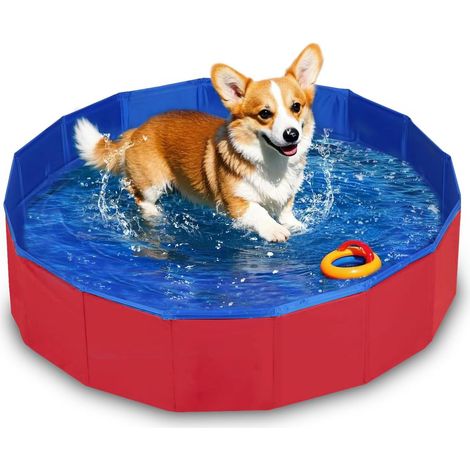 Piscine pliable pour chiens, 60 x 20 cm, pour petits chiens et chats. Piscine avec valve de vidange. (1/5)