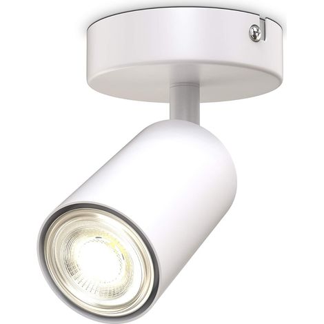 spot plafond I pivotant I orientable I GU10 I blanc mat I livré sans ampoule (1/5)