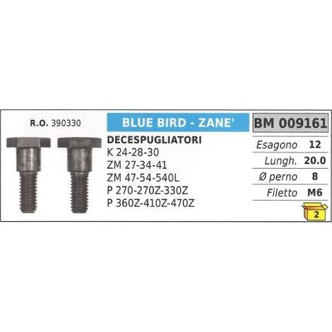 Vite frizione BLUE BIRD decespugliatore K 24 28 30 ZM 27 34 41 47 54 540L 009161