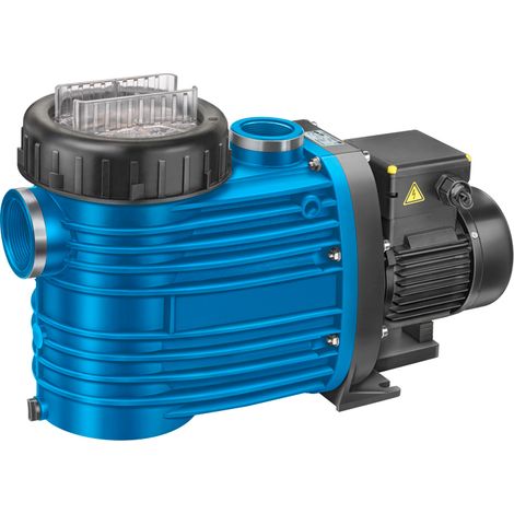 Speck BADU Magna 14 230 Volt Poolpumpe (1/3)