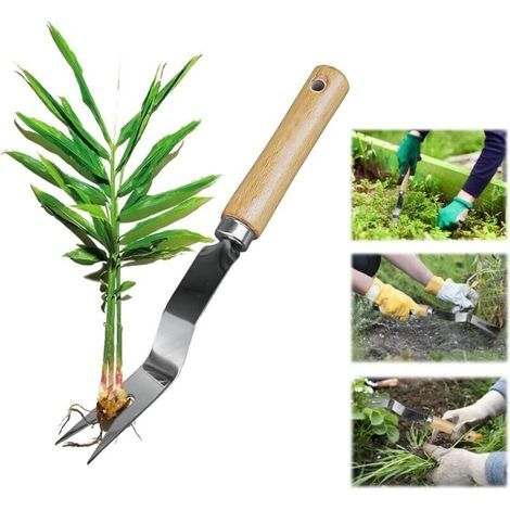 Outil de Désherbage Manuel avec Manche en Bois, Arracheur Mauvaise Herbe en Aciers Inoxydables, Couteau Arrache Racine Manuel, Outils Jardinage pour Pissenlit, Mauvaise Herbe, Fleurs, Plantes (1/4)