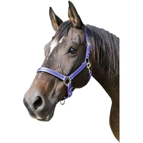 KERBL Cabezada Caballo MUSTANG, Nylon, Doble Ajuste, Azul, Talla