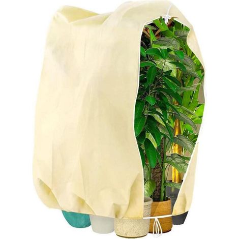 Pflanzenschutzhaube Winterschutz atmungsaktiv reißfest 120x140cm beige (1/5)