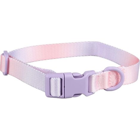 Collier pour chien coloré et tendance, ajustable, en polyester durable et confortable, idéal pour l'extérieur (violet et rose). (1/5)