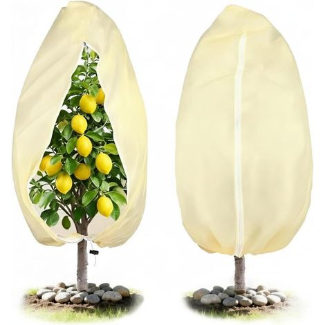 Cubierta de invierno para plantas, 120 x 180 cm, para mantener calientes las plantas de exterior durante el invierno, 1 unidad, color beige. (1/5)