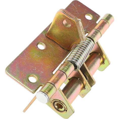 Charnières Automatiques de Porte en Alliage (1/5)