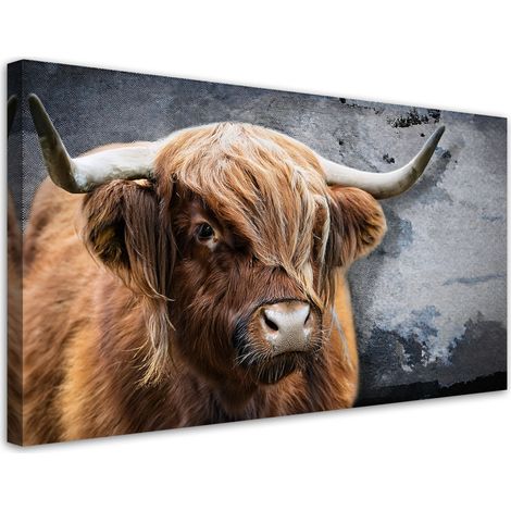 Tableau déco Vache écossaise Animaux de la nature 80x40 (1/5)