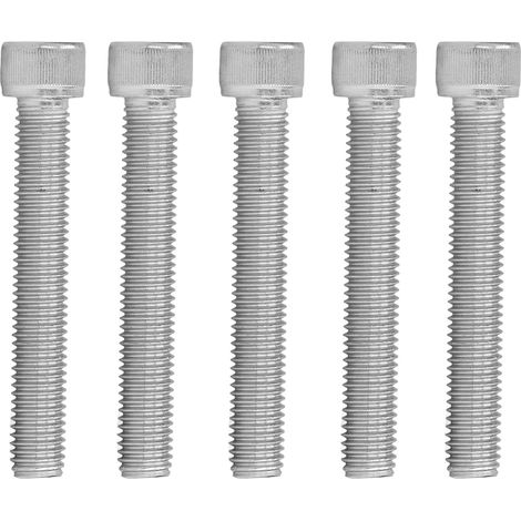 20 vis à tête cylindrique creuse à gros filetage A2-70 en acier inoxydable M12x1,75 DIN 912M12x70 (1/5)