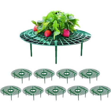 10 Pièces Support de Fraisier, Supports pour Plantes à la Fraise Supports de Plantation pour Fruits en Plastique Amovible Plateau