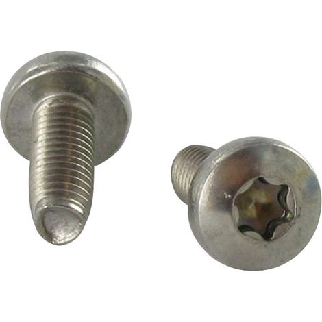 Vis autotaraudeuse Tête cylindrique bombée TCB TORX T25 5X10 Inox A2-10 pièces