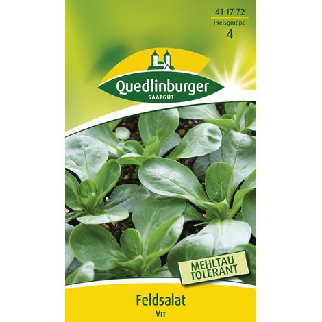 Quedlinburger Saatgut – Mâche Vit – Graines de légumes, doucette à feuilles ovales, pour env. 8 mètres linéaires (1/2)