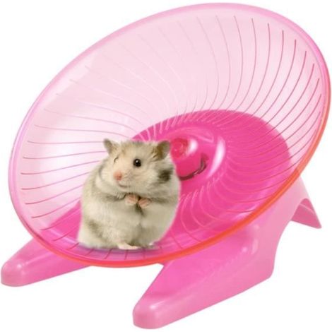 Roue d'exercice - Hamster - Transparent - Antidérapante - Diamètre 7 pouces - Silencieuse (1/4)