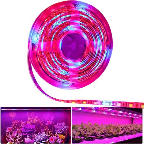 Plante LED élèvent la lumière de bande DC 12V IP65 imperméable plein spectre SMD 5050 Rouge bleu 5: 1 corde s'allume pour l'aquarium serre (1/5)