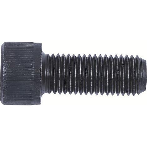 Röhm tornillo de fijación, tamaño 125, pieza - 243893 (1/5)
