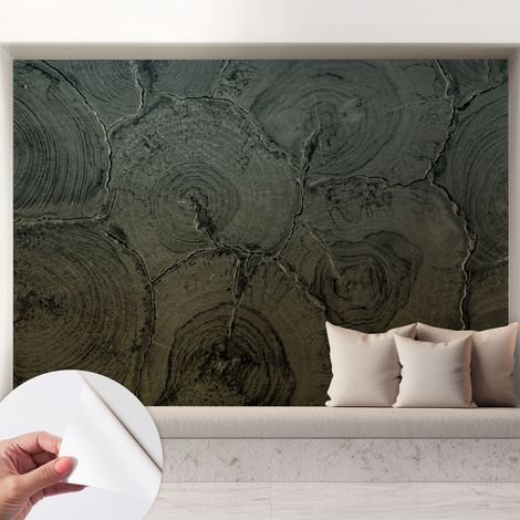 Papier peint adhésif décoratif avec colle pour salon chambre à coucher et bureau Design moderne et facile à poser Cernes de bois 208x146 cm (1/5)