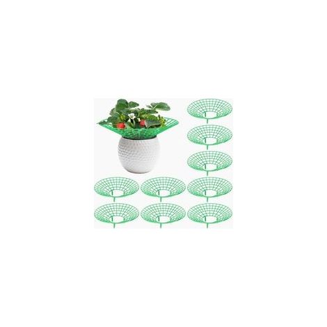 9 Pièces Support Fraisier, Plastique Amovible Supports pour Fraises Diamètre 30.6 cm Support de Culture de Fraises pour Fraise, Légume, Fleur, Plante (Vert) (1/5)