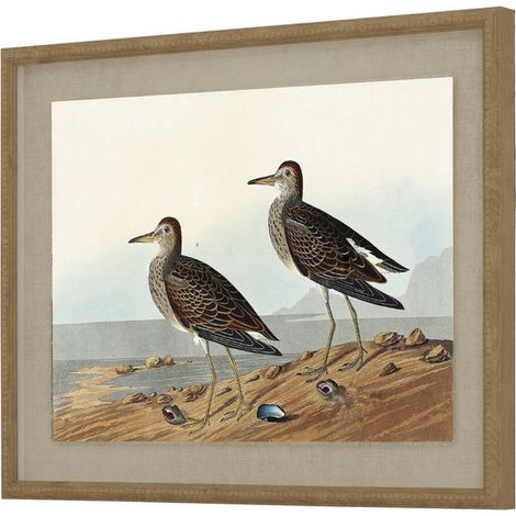 Flora & Fauna Collection Sandpipers on Linen in Beaded Frame - Glass - L2 x W40 x H50 cm - Brown