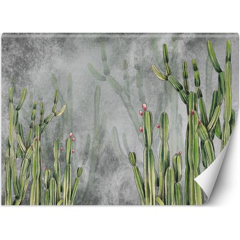 Fototapete Caktus Blumen Pflanzen Betonwand 450x315 cm (1/5)