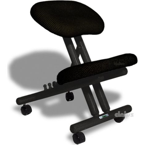 Chaise Ergonomique Professionnelle Sans Dossier Couleur Noir (1/5)