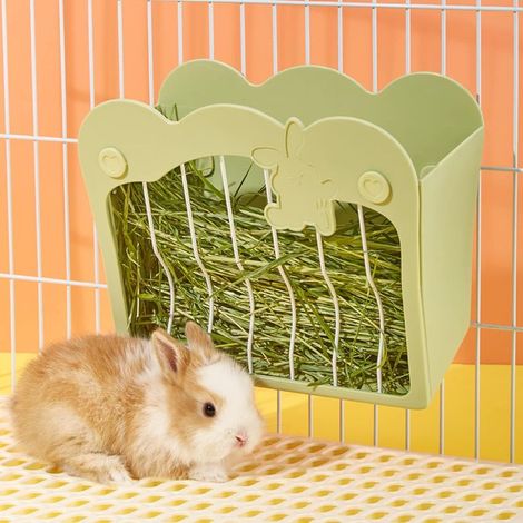 Mangeoire Lapin, Râtelier à Foin Suspendu pour Petits Animaux Lapins, Lapins Nains, Cochons d'Inde (Vert) (1/4)
