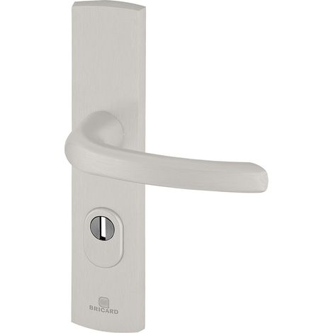 Ensemble de Poignées Blindées sur Plaque Béquille pour Porte d’Entrée (pour Cylindre Européen), Coloris Argent (1/3)