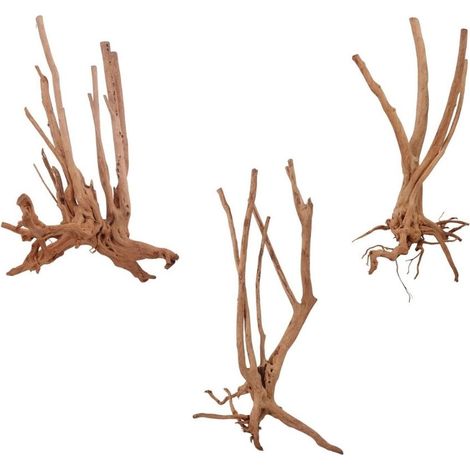 Stump Wurzel M 60-80 cm