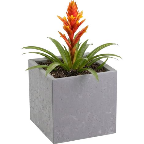 Maceta Betonique con ruedas, hormigón gris, 30x30xh30 cm (1/5)
